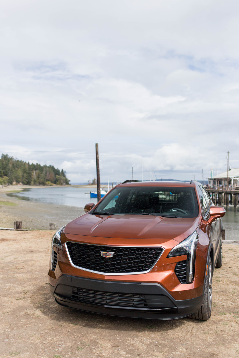 Illustration for article titled The 2019 Cadillac XT4 Tries Really Hard to Be a Fun Car